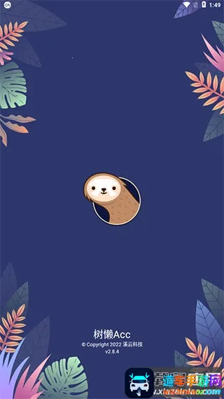 树懒Acc2025官方最新版本 树懒Acc2025官方最新版本