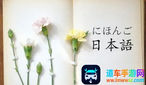 ������2025�ٷ�����