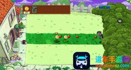 ikun��ս����2025���ذ�װ