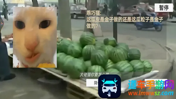 èè����ҹ2025���°汾