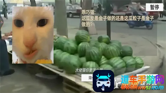 èè����ҹ2025���°汾