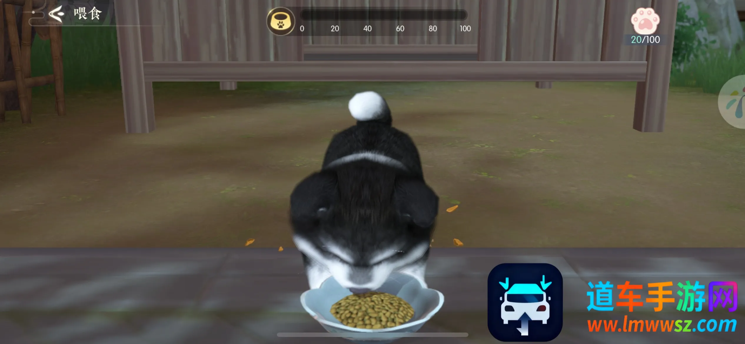 ����������2025���°汾