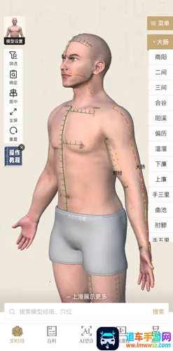 中济经络穴位2025官方最新版本 中济经络穴位2025官方最新版本