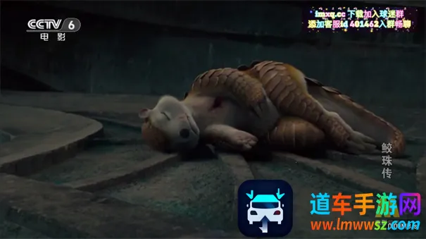 �ʺ�����ȶ���(Ӱ����Դ����)