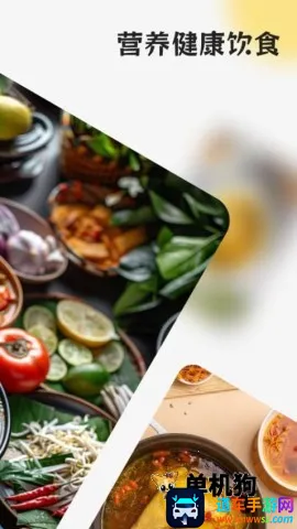 ����ָ��(���ѧϰ����)