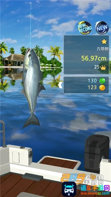 �������(����ģ����Ϸ)