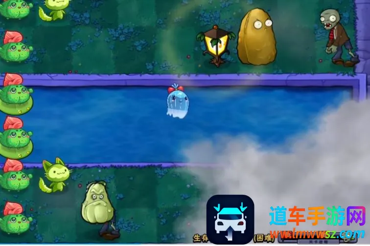 pvz�������(ֲ���ս��ʬ��Ϸ)