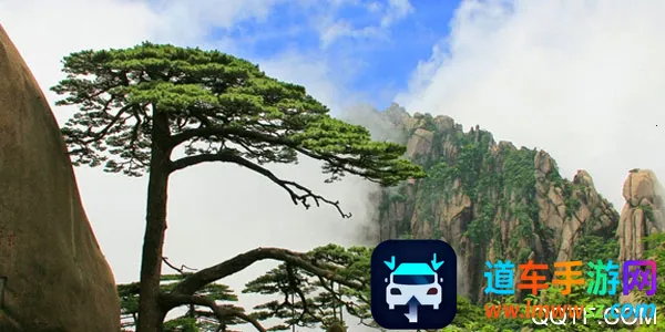 黄山官方平台2025下载安装 黄山官方平台2025下载安装