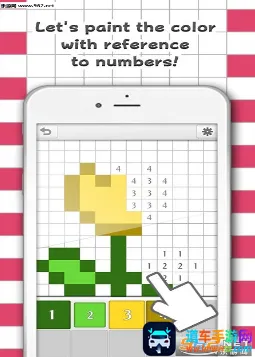 ColorNumber2025�ٷ�����