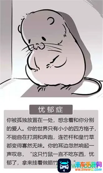 �������ȥ��׿���ֻ���