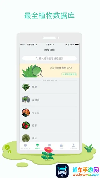 花花草草(绿植种植管理) 花花草草(绿植种植管理)