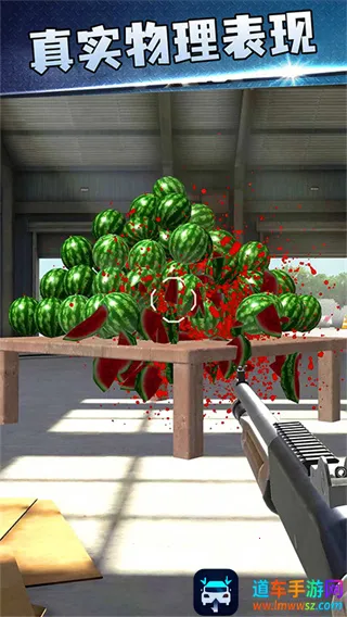 ǹ�����ս(���������Ϸ)