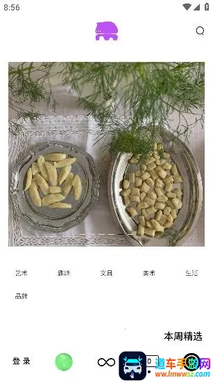 桃象2026最新版本 桃象2026最新版本