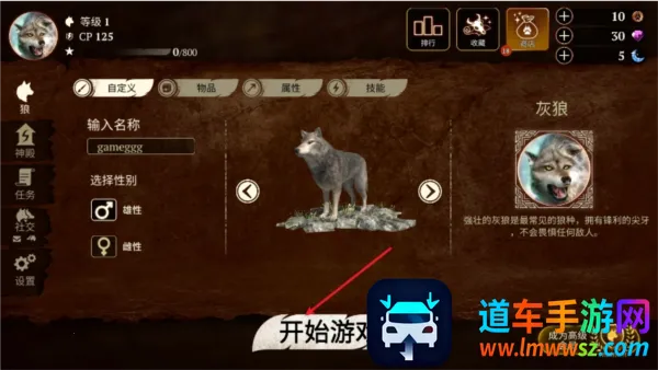 ����2026���°汾