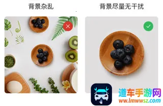 �ٿ�ɨ����2026�ٷ�����