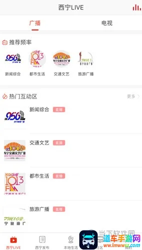 ��������(������������)