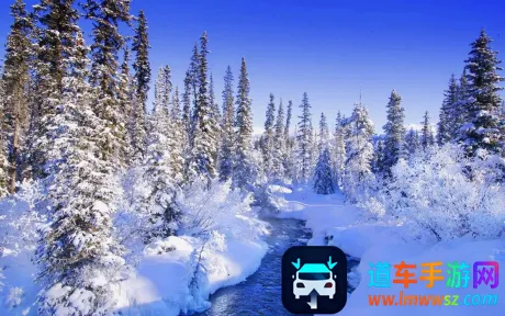 ��������(����Ԥ������)