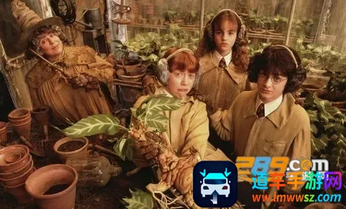 笨龙影视(免费观影软件) 笨龙影视(免费观影软件)