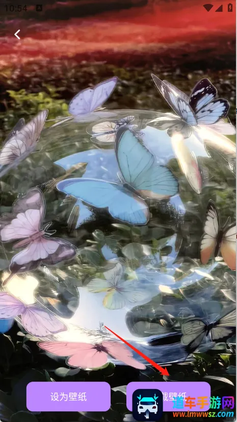 蝴蝶壁画2026下载安装 蝴蝶壁画2026下载安装