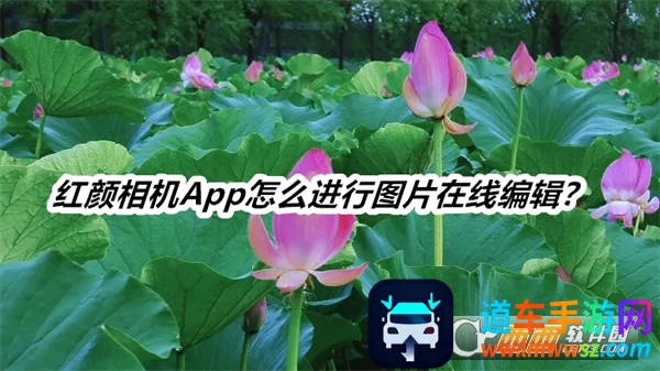 红颜相机最新手机版 红颜相机最新手机版