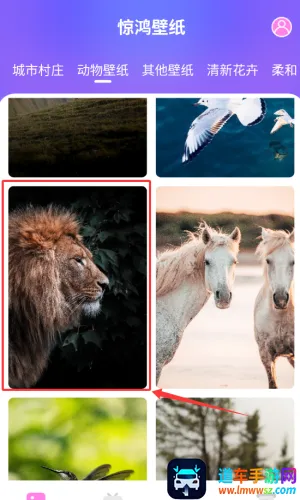 �����ֽ2026�ٷ�����