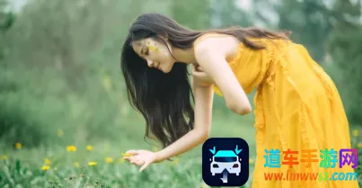 ����ý��