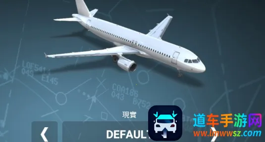 ��ʵ����ģ����RFS