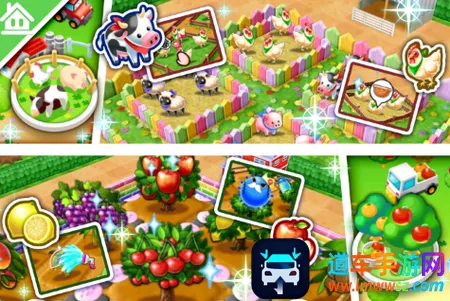 ��������ȫ����2026���°汾