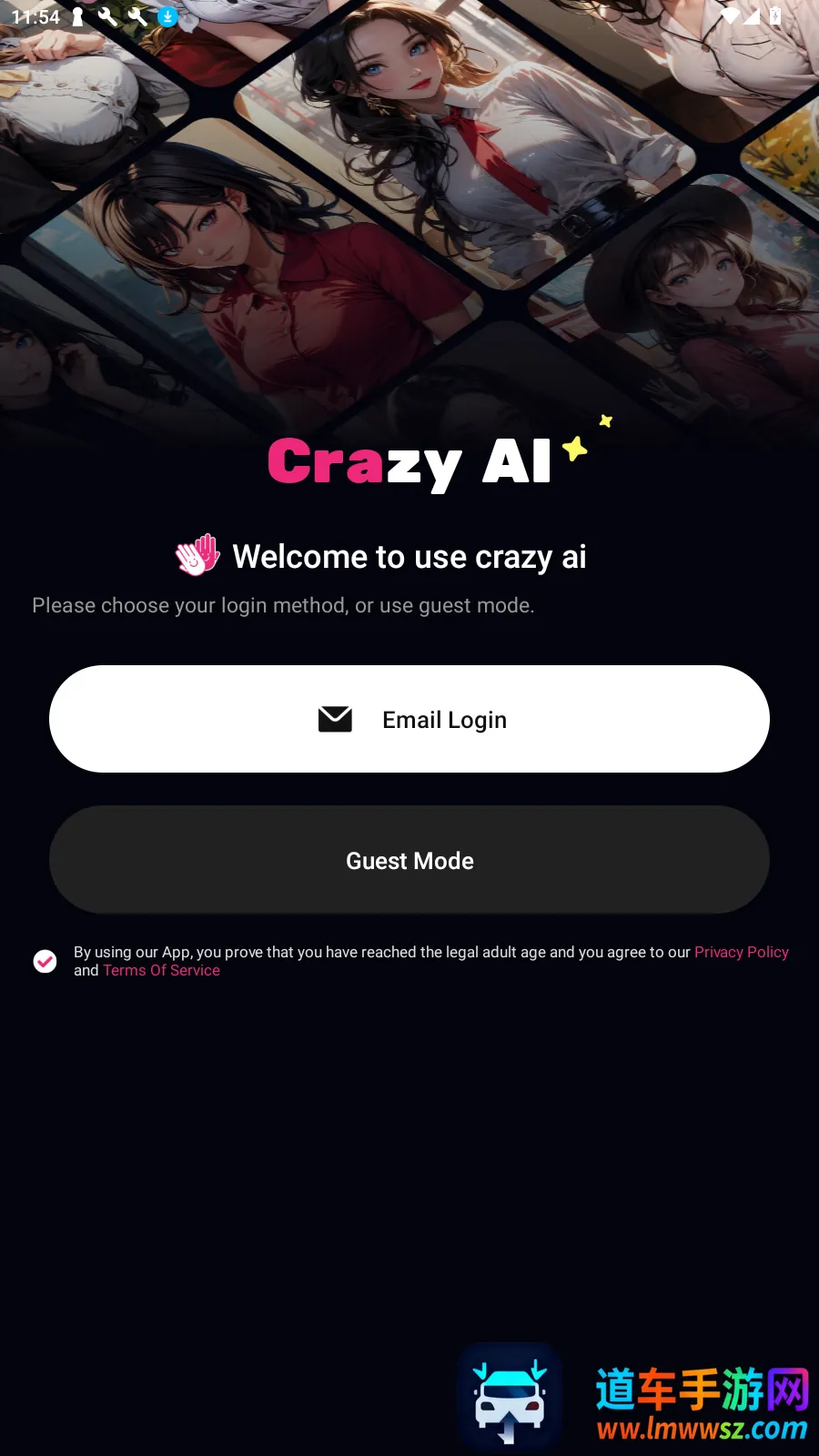 Crazy Girl Crazy Girl