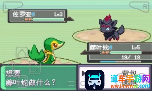 �ڴ�������ڵ���Ӱex bw����2026�ٷ�����