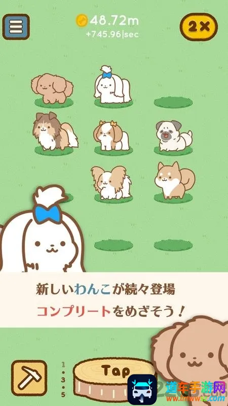 ����ȫ����