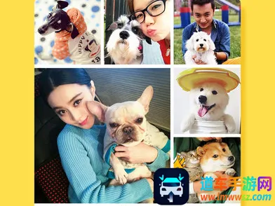 ���﷭����