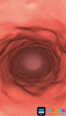 ����̽��