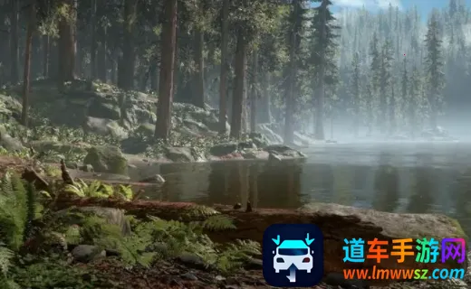 ����Ӱ��