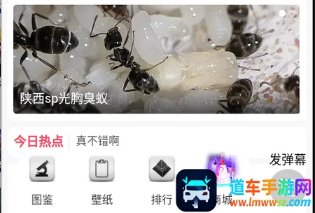 ����ʱ��2026�ٷ����°汾