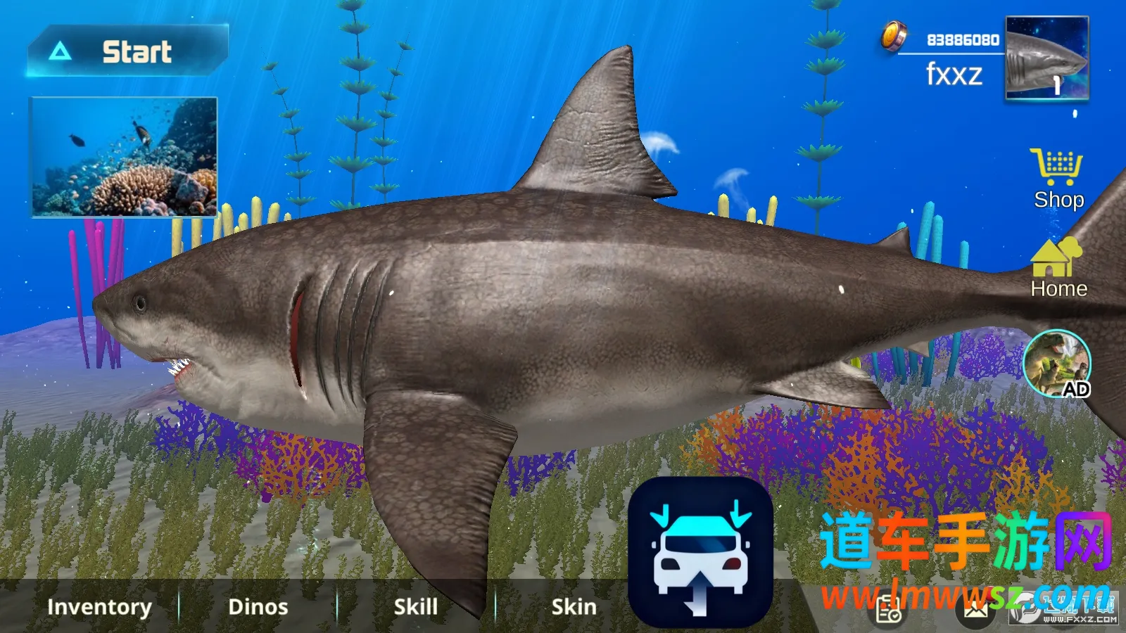 巨齿鲨模拟器2026官方最新版本 巨齿鲨模拟器2026官方最新版本