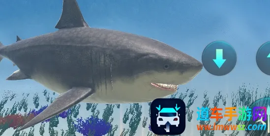 巨齿鲨模拟器2026官方最新版本 巨齿鲨模拟器2026官方最新版本