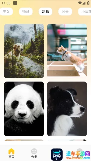 ������ֽ