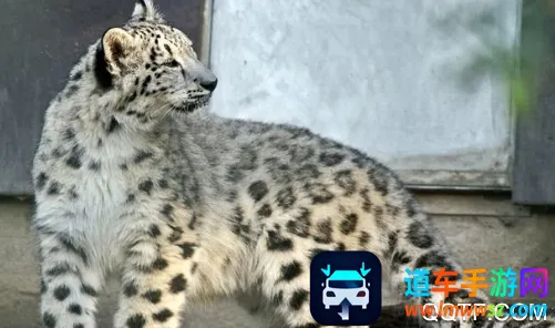 中国动物园协会2026官方最新版本 中国动物园协会2026官方最新版本