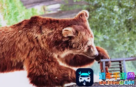 中国动物园协会2026官方最新版本 中国动物园协会2026官方最新版本