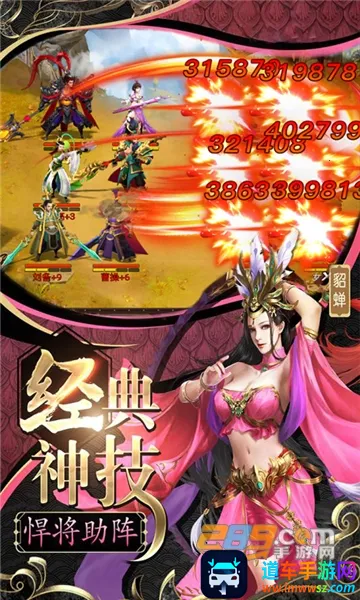 ����Ⱥ����