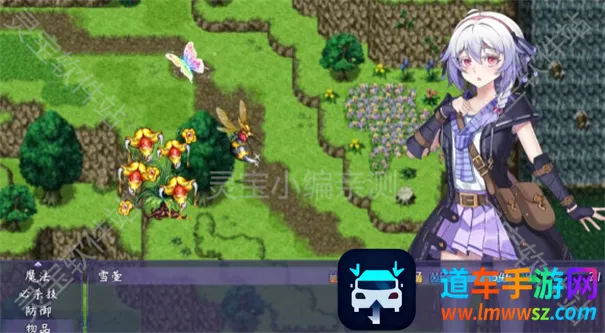 ��β��Ů�����׿���ֻ���