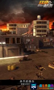 ����ǹɱKill Shot