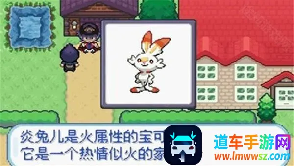 �����������ں�