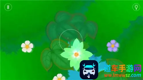 鲤游戏2026官方最新版本 鲤游戏2026官方最新版本