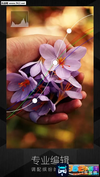 �˾�����2026�ٷ�����