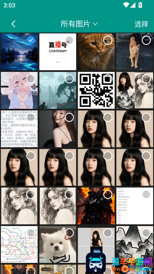 ��ţ�������