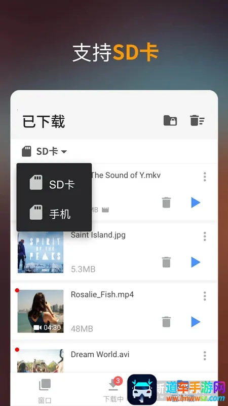 Video Downloader