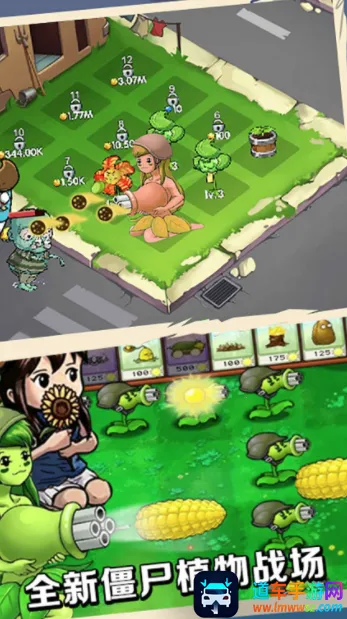 ������������ֲ��2026�ٷ�����