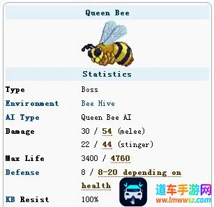 ̩������2026���ذ�װ